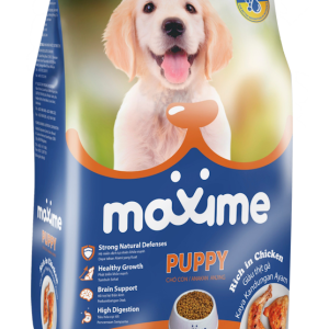 Dry Dog Food