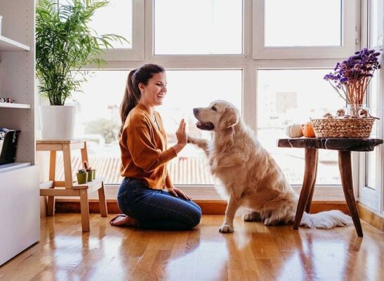 🐶 The Surprising Health Benefits of Having a Dog — For Mind and Body