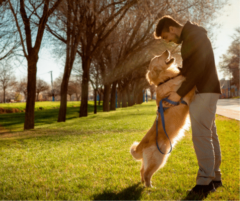 🐶 The Surprising Health Benefits of Having a Dog — For Mind and Body