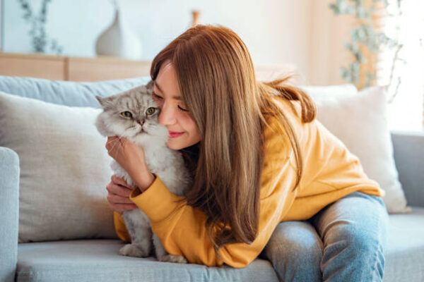 🐱 Why Owning a Cat Can Improve Your Mental Health