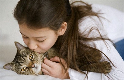 🐱 Why Owning a Cat Can Improve Your Mental Health