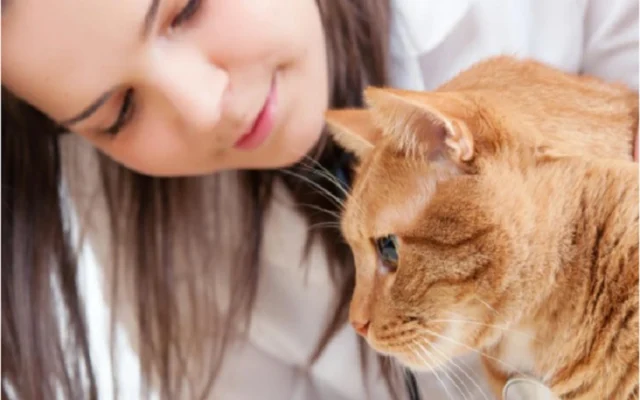 🐱 Why Owning a Cat Can Improve Your Mental Health